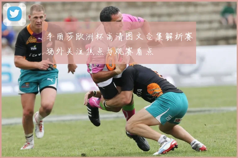 李丽莎欧洲杯高清图文合集解析赛场外关注焦点与观赛看点