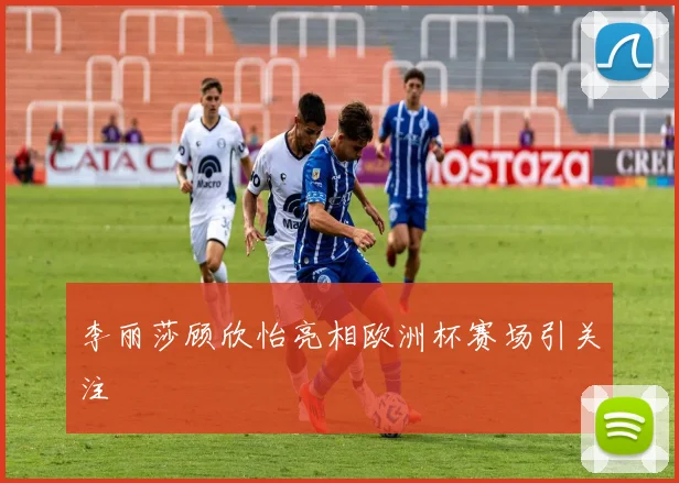 李丽莎顾欣怡亮相欧洲杯赛场引关注