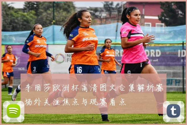 李丽莎欧洲杯高清图文合集解析赛场外关注焦点与观赛看点
