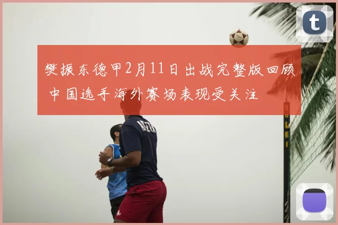 樊振东德甲2月11日出战完整版回顾 中国选手海外赛场表现受关注