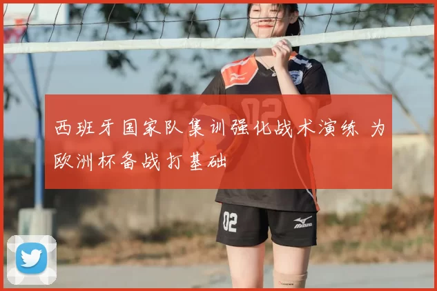 西班牙国家队集训强化战术演练 为欧洲杯备战打基础