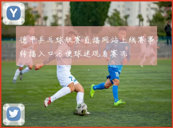 德甲乒乓球联赛直播网站上线赛事转播入口方便球迷观看赛况