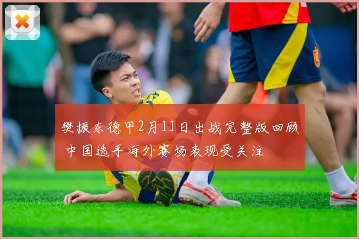 樊振东德甲2月11日出战完整版回顾 中国选手海外赛场表现受关注
