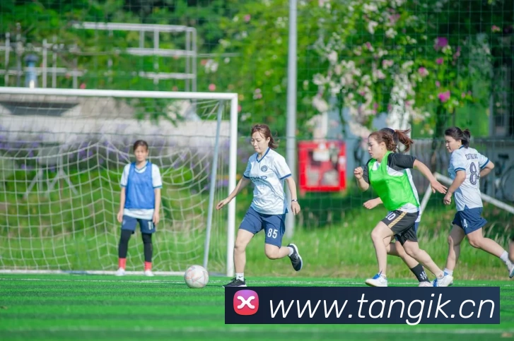 App Interface Preview